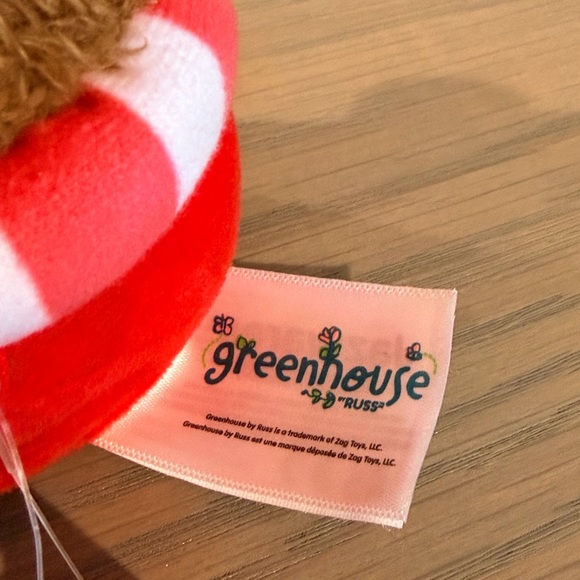 🌱 Greenhouse By Russ Emmy Heart Flower Valentines Day ❤️ Mini 6” Plant BNWT - Picture 5 of 8